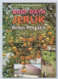 Image of Budidaya Jeruk Bebas Penyakit