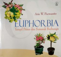 Image of Euphorbia : Tampil Prima dan Semarak Berbunga