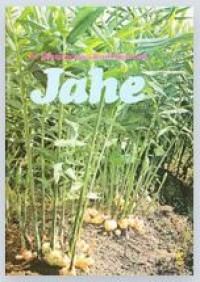 Image of Jahe