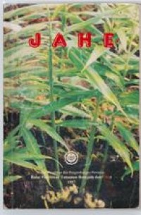 Image of Jahe
