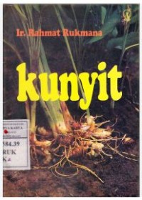Image of Kunyit