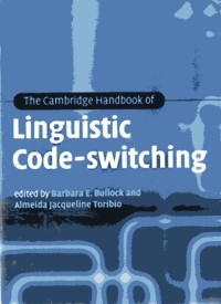 Image of Linguistic Code-Switching