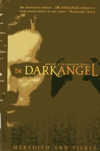 Image of The Darkangel